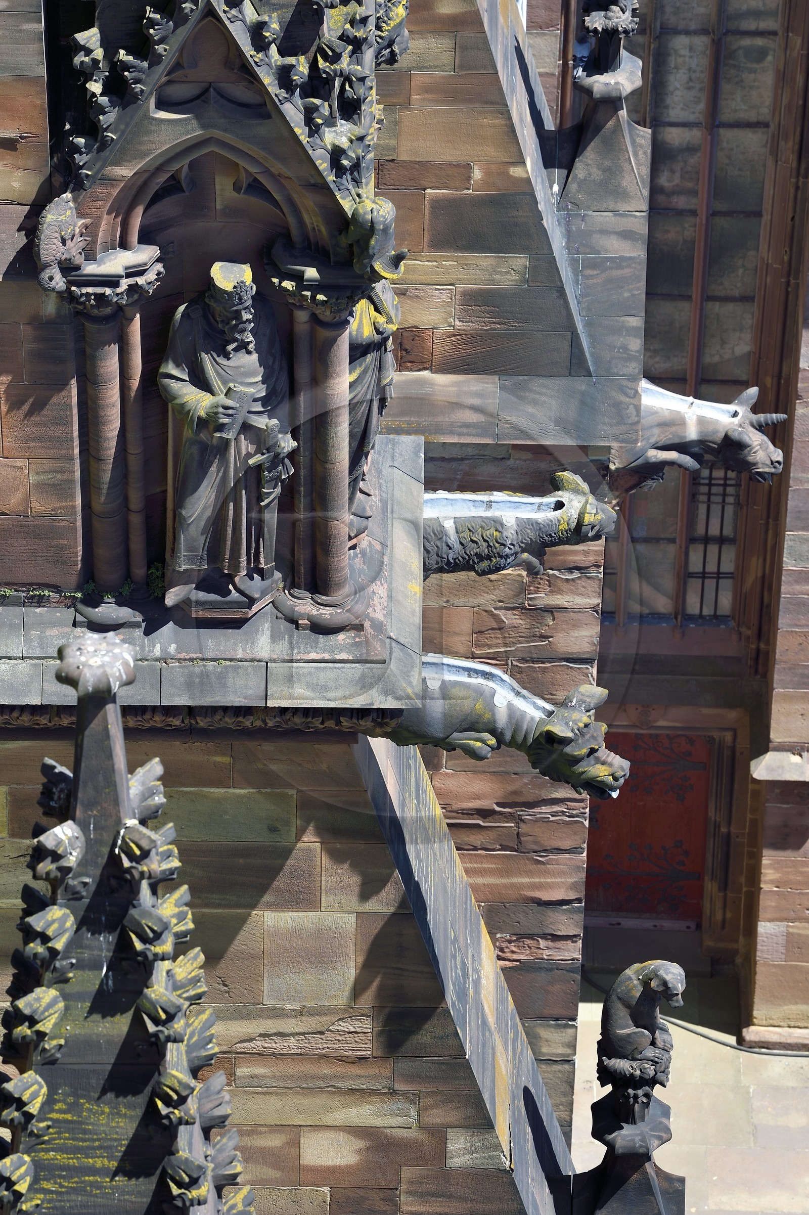 France, Bas-Rhin (67), Strasbourg, vieille ville classée au Patrimoine Mondial de l'UNESCO, la cathédrale Notre-Dame, arcs-boutants de la facade sud et gargouilles