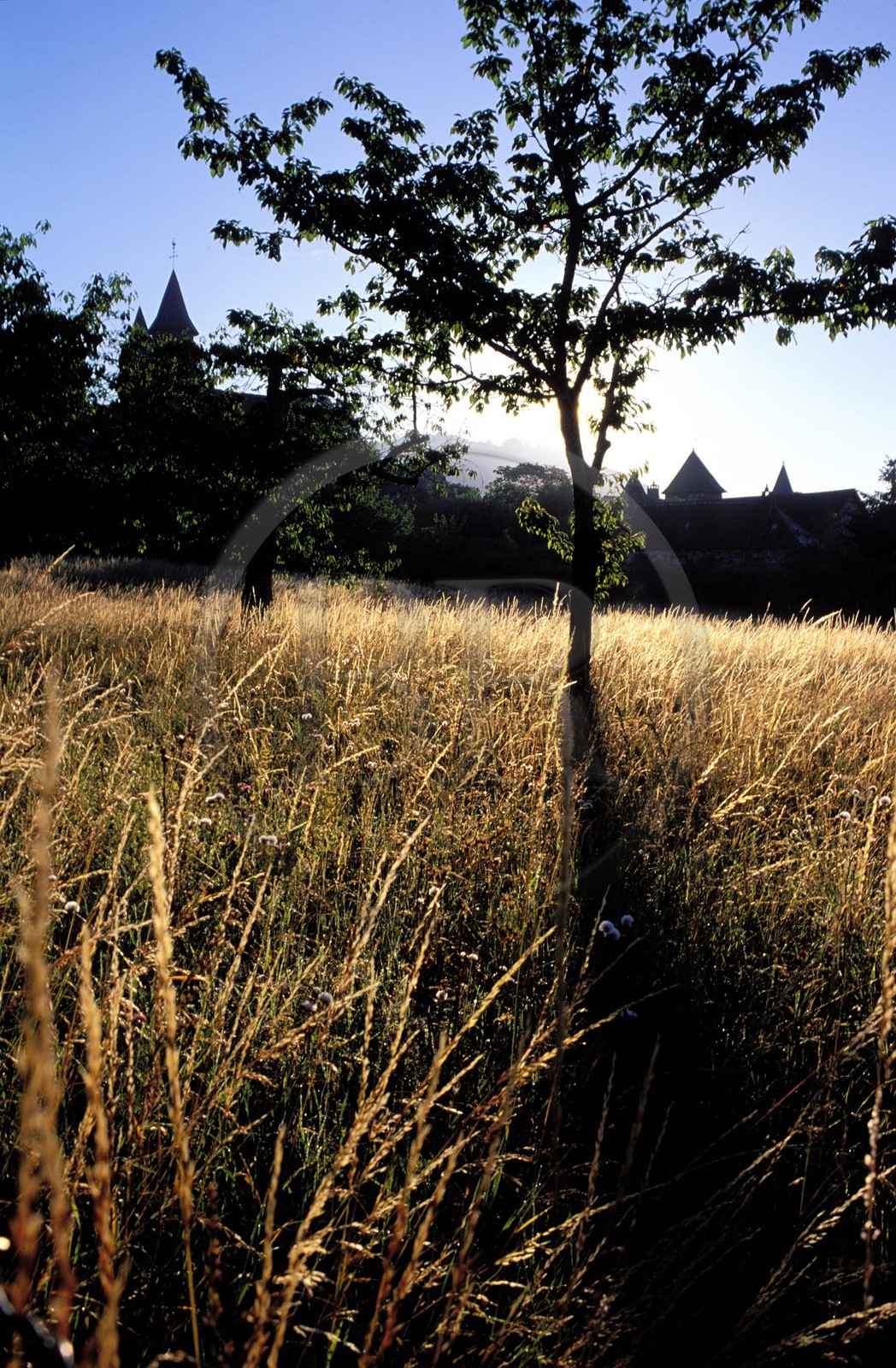 France, Corrèze (19), lever de soleil sur la campagne autour de Collonges-la-Rouge