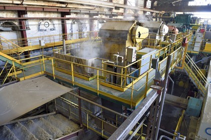 France, Reunion island (French overseas department), Saint-Louis, Le Gol sugar factory, bagasse resulting from the processing of sugar cane