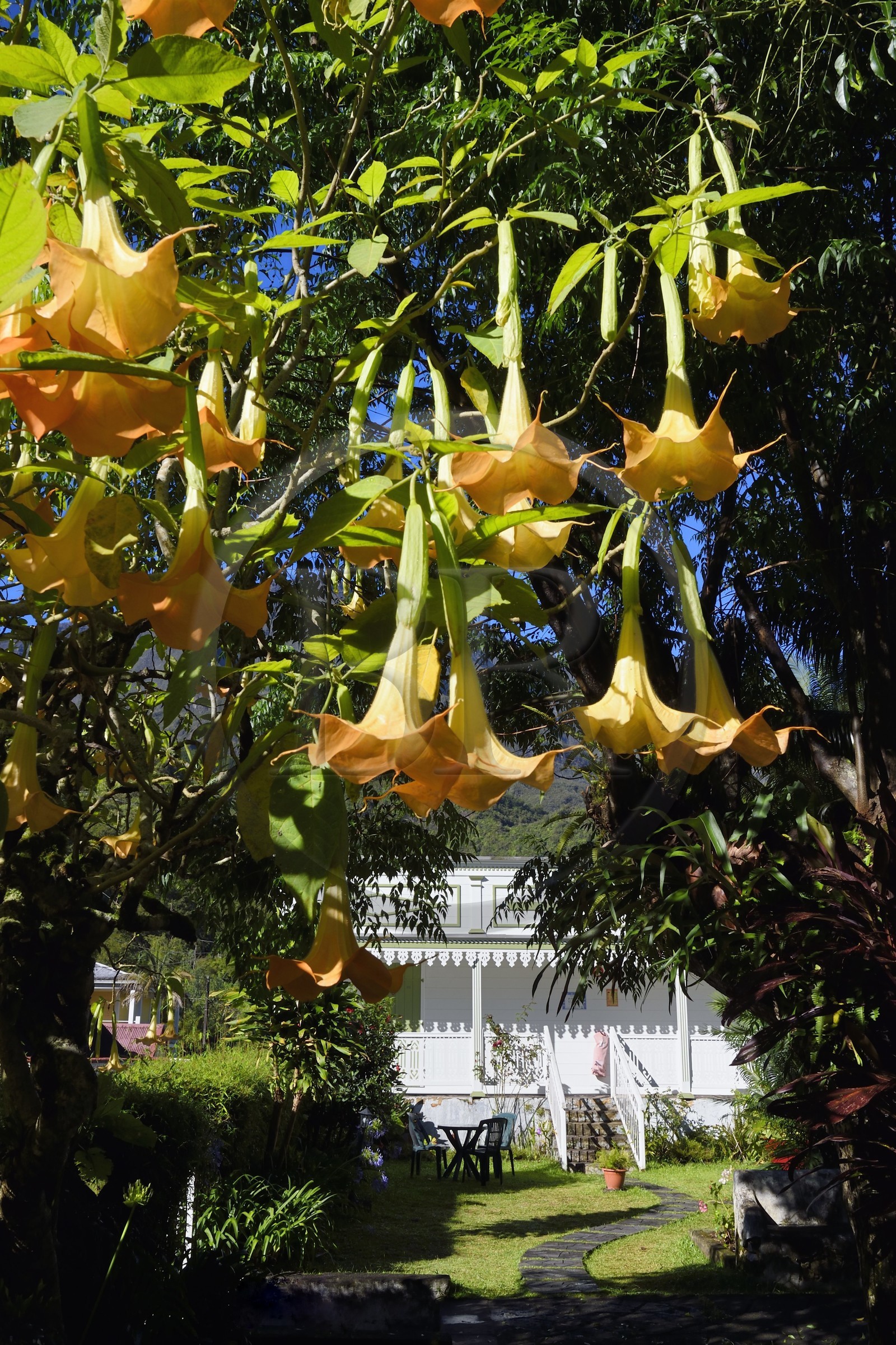 France, Ile de la Reunion, Cirque de Salazie, classé Patrimoine Mondial de l'UNESCO, Hell-Bourg, labellisé les Plus Beaux Villages de France, case créole traditionnelle appartenant à l'hotel Relais des Cimes
