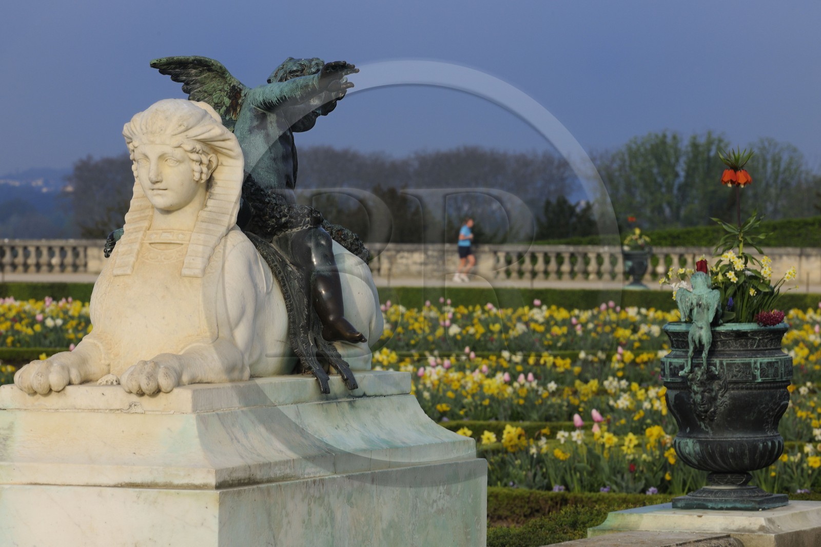 France, Yvelines, park of the Chateau de Versailles, listed as World Heritage by UNESCO, parterre du Midi (south parterre), sphinx and one of the bronze vases surrounding the castle