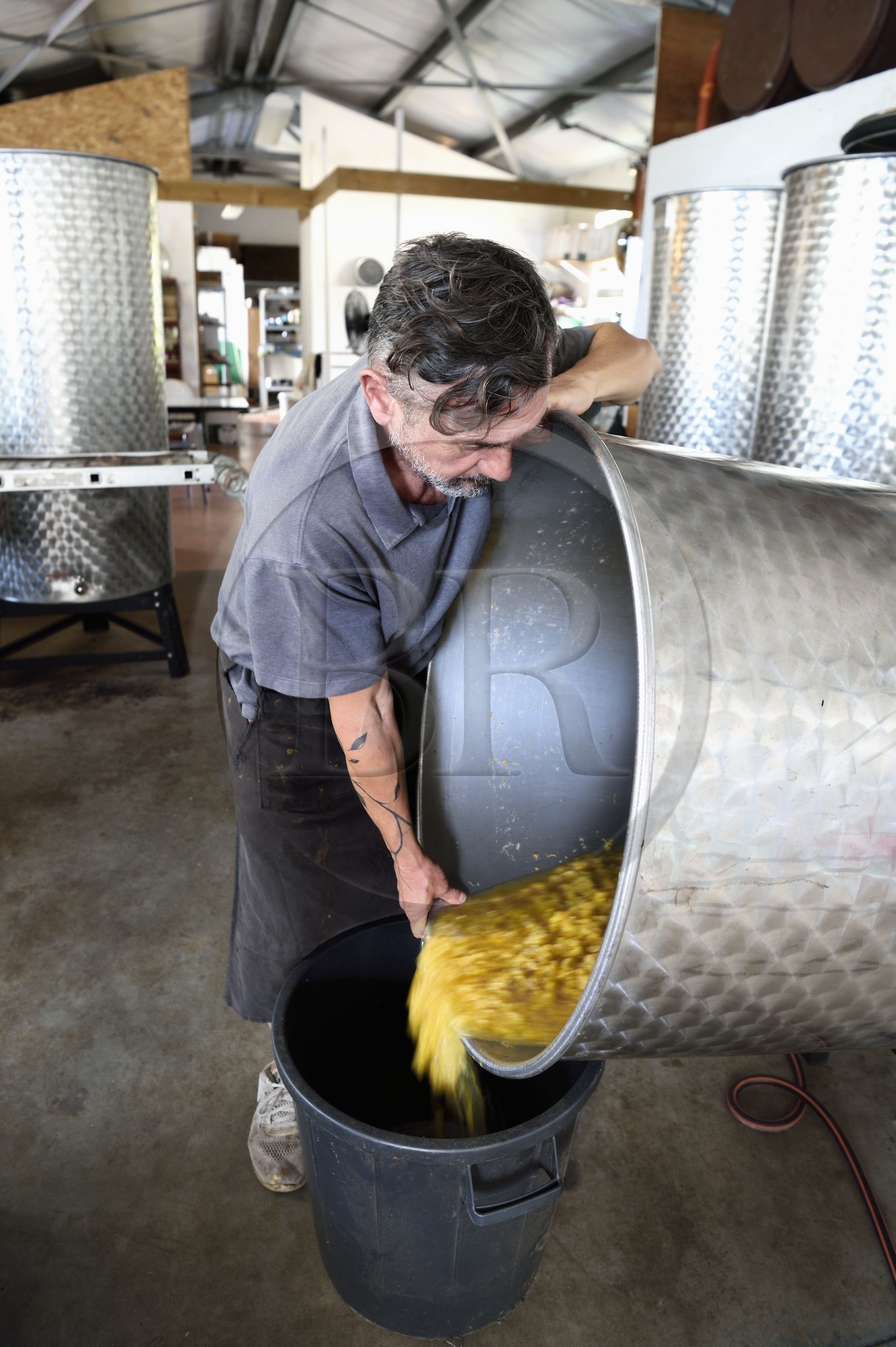 France, Ile de la Reunion, La Saline, La Part des Anges Distillation, ananas récupérés dans des cuves après trois mois de fermentation et avant distillation