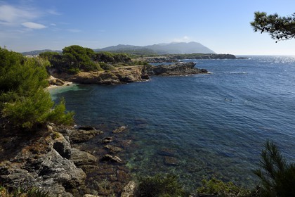 France, Var (83), Ile des Embiez, plages Coucoussa
