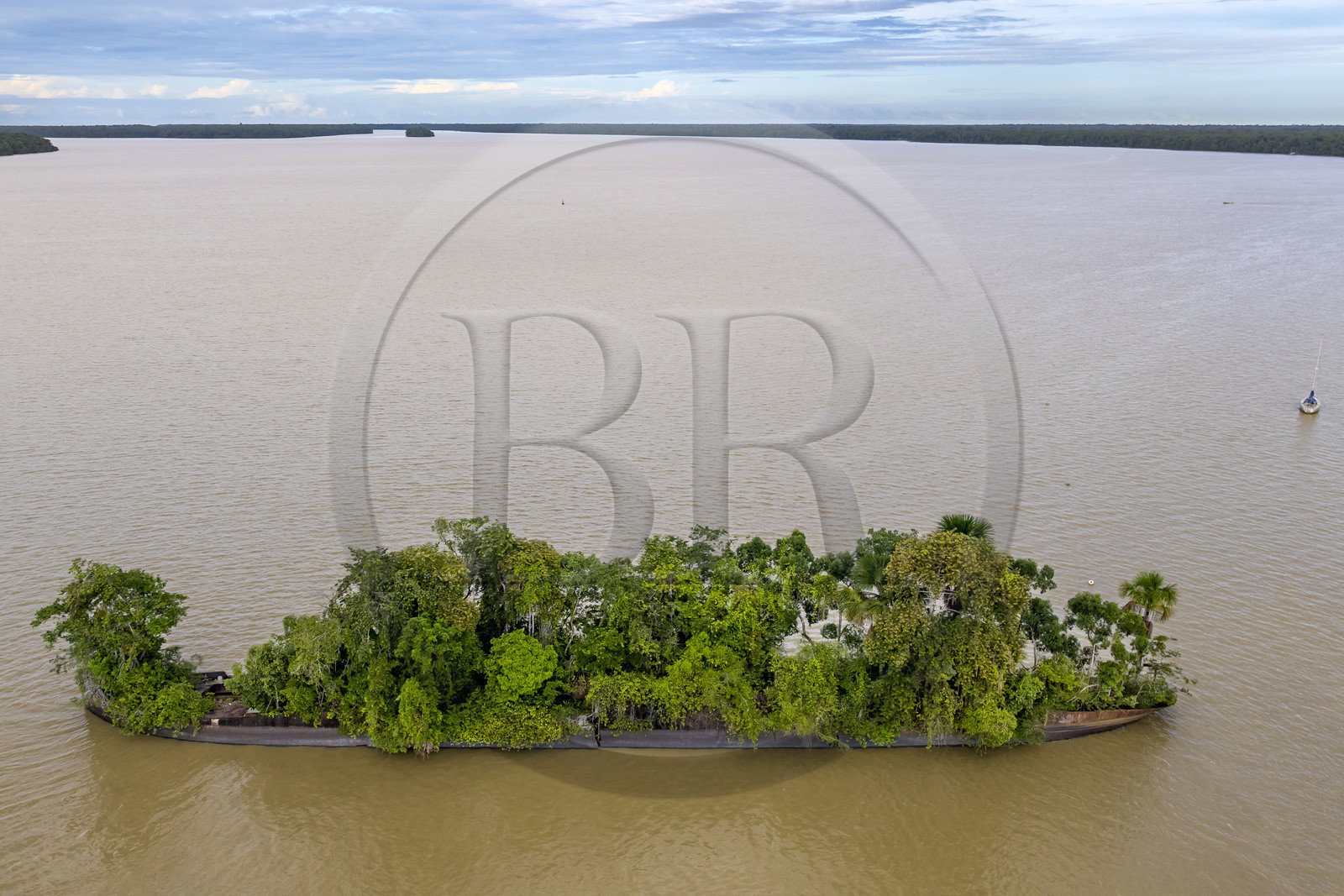 France, Guyane, Saint-Laurent-du-Maroni, l'épave du navire marchand britannique Edith Cavell échoué en 1924 et devenue une île sur le fleuve Maroni (vue aérienne)
