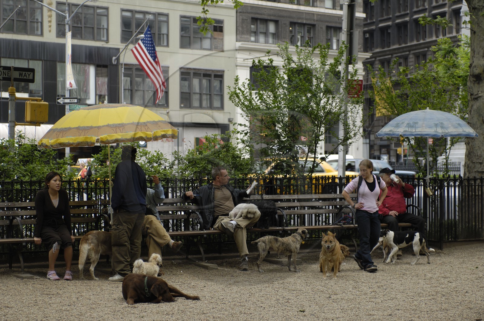 Etats-Unis, New York, Manhattan, parc à chiens de Union square