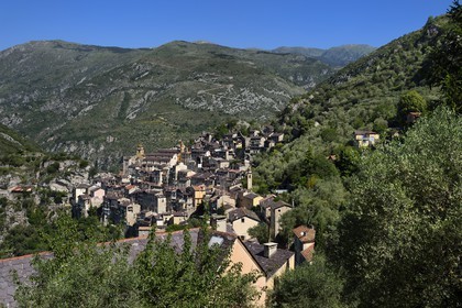 France, Alpes-Maritimes (06), vallée de la Roya (arrière-pays niçois), au pied du parc national du Mercantour, Saorge