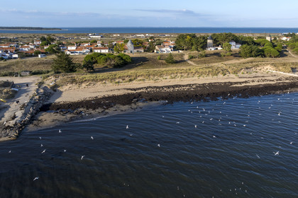France, Vendée (85), Ile de Noirmoutier, La Guérinière, plage de la court et les moulins de la Court (vue aérienne)