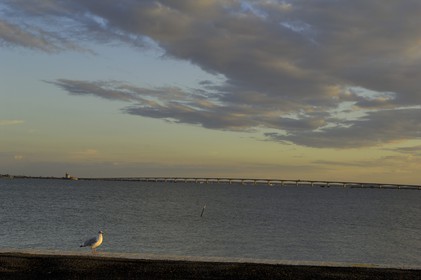 France, Charente-Maritime (17), Ile d'Oléron, le pont viaduc d'Oléron
