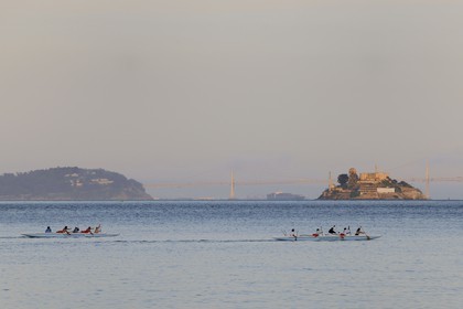 United States, California, San Francisco Bay, pirogues in front of the island of Alcatraz