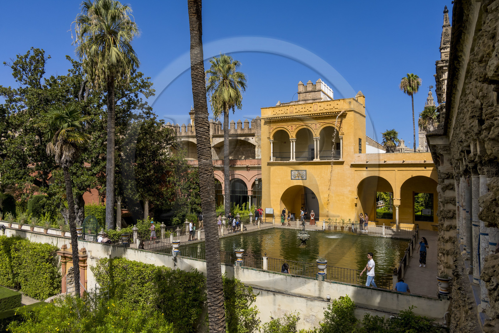 Espagne, Andalousie, Séville, Alcazar de Séville (Reales Alcazares de Sevilla), classé Patrimoine Mondial de l'UNESCO, les jardins et le Palacio Gotico, fontaine de Mercure
