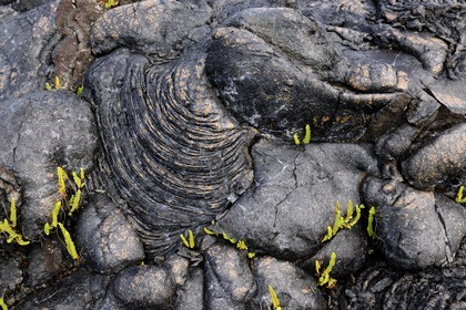 France, île de la Réunion, volcan du Piton de la Fournaise, classé Patrimoine Mondial de l'UNESCO, le Grand-Brûlé, coulée de lave de 2007