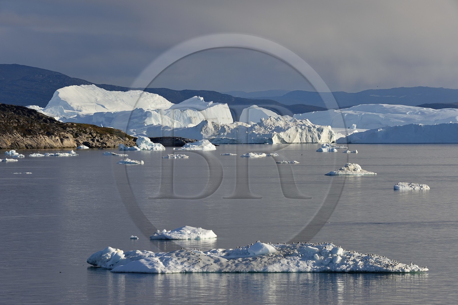 Groenland, cote ouest, baie de Disko, Ilulissat, icebergs géants dans le fjord glacé classé Patrimoine Mondial de l'UNESCO