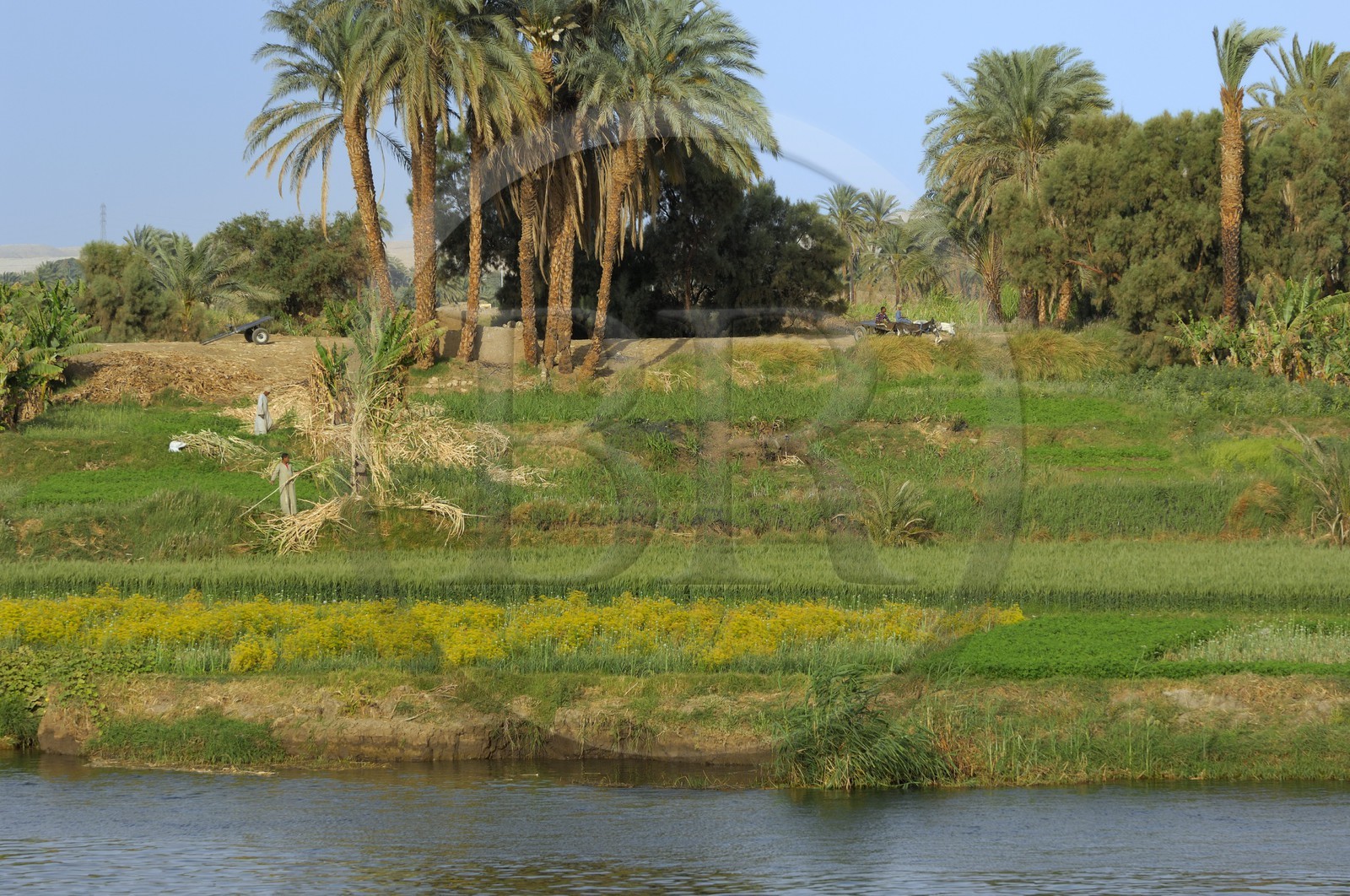 Egypt, Upper Egypt, Nile Valley, the Nile river between Luxor and Esna
