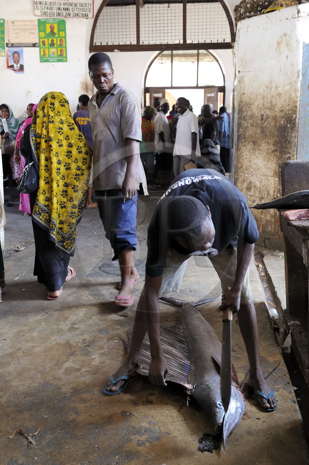 Tanzania, Zanzibar, Stown Town, Darajani market, fish market