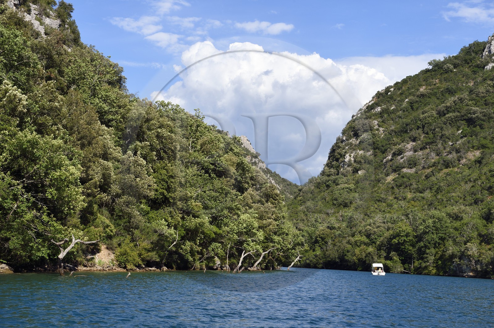 France, Alpes-de-Haute-Provence (04), Parc Naturel Régional du Verdon, bateau électrique dans les Basses Gorges du Verdon en aval du lac de Sainte Croix