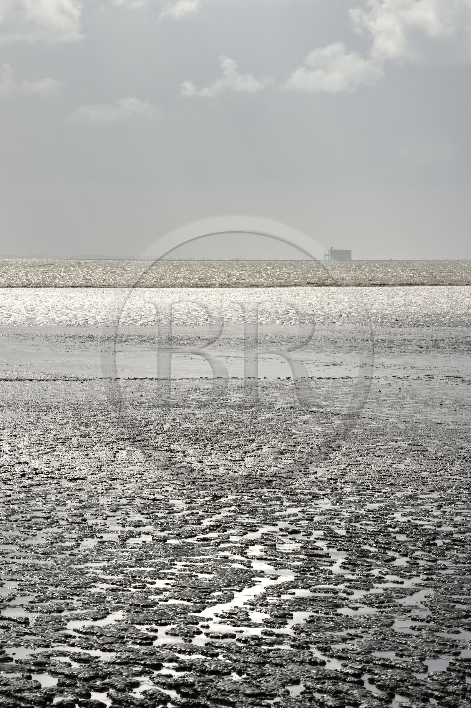 France, Charente-Maritime, Fouras, Esperance beach discovered by the tide and Fort Boyard in the background