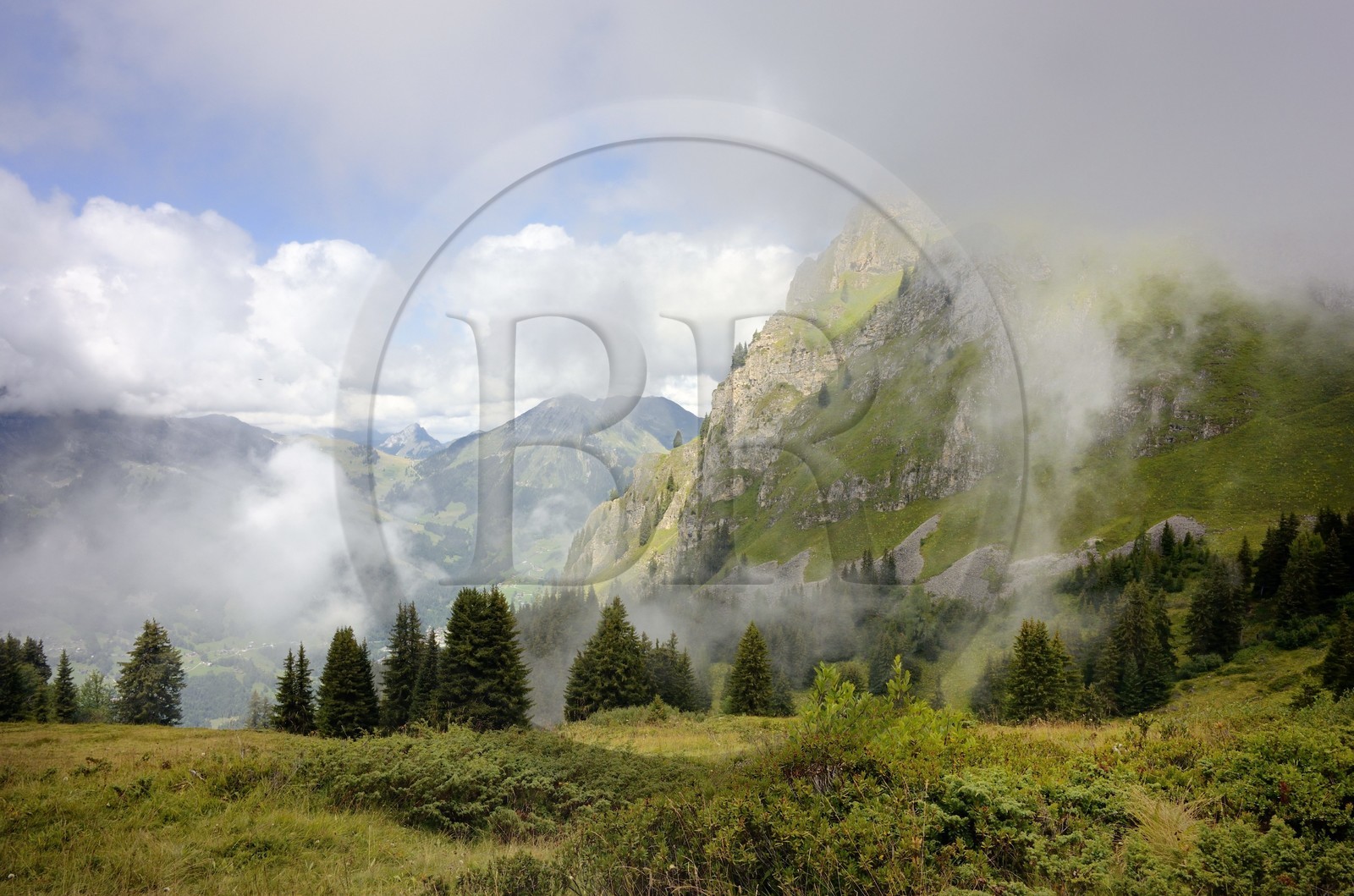 Suisse, canton de Vaud, Villars-sur-Ollon au dessus du Col de Bretaye
