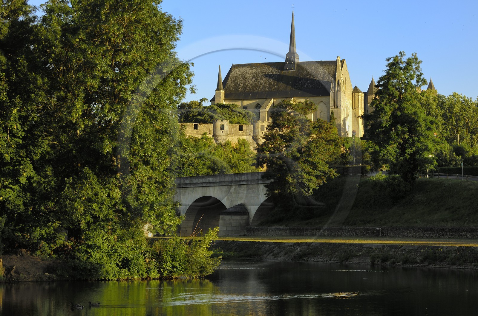 France, Maine et Loire (49), château de Montreuil-Bellay