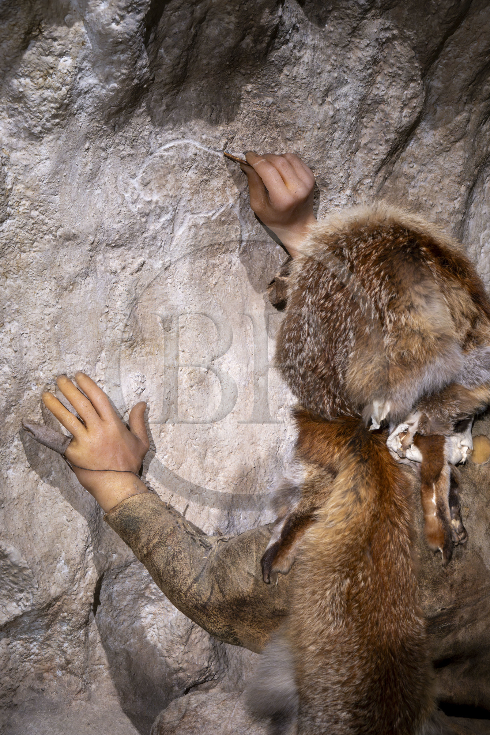 France, Alpes-de-Haute-Provence (04), Parc Naturel Régional du Verdon, Quinson, Musée de préhistoire des Gorges du Verdon conçu par l'architecte Norman Foster, reconstitution du bison gravé de Segries datant du paléolithique supérieur (15000 av. J-C)