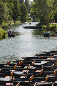 France, Deux-Sèvres (79), le Marais Poitevin, la Venise Verte, Coulon, labellisé Les Plus Beaux Villages de France, barques à fond plat sur les rives de la Sèvre Niortaise