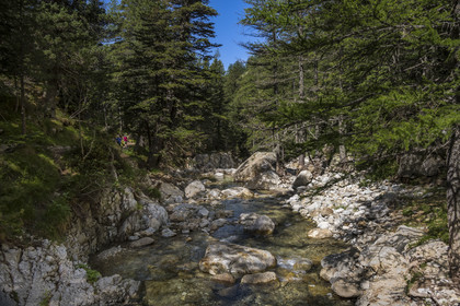 France, Alpes-Maritimes (06), parc national du Mercantour, Haute-Vésubie, Saint-Martin-Vésubie, Val du Haut Boréon, randonnée sur le GR 52 vers le refuge de Cougourde et la rivière du Boréon
