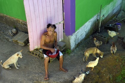 Caribbean, Dominica Island, Salybia, Kalinago Territory only Native American reserve in the Antilles archipelago, a mixed-race Native American raping coconut in front of his house