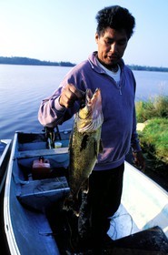 Canada, Quebec Province, La Verendrye Wildlife Reserve, Lake Victoria, catch of a wall-eyed pike