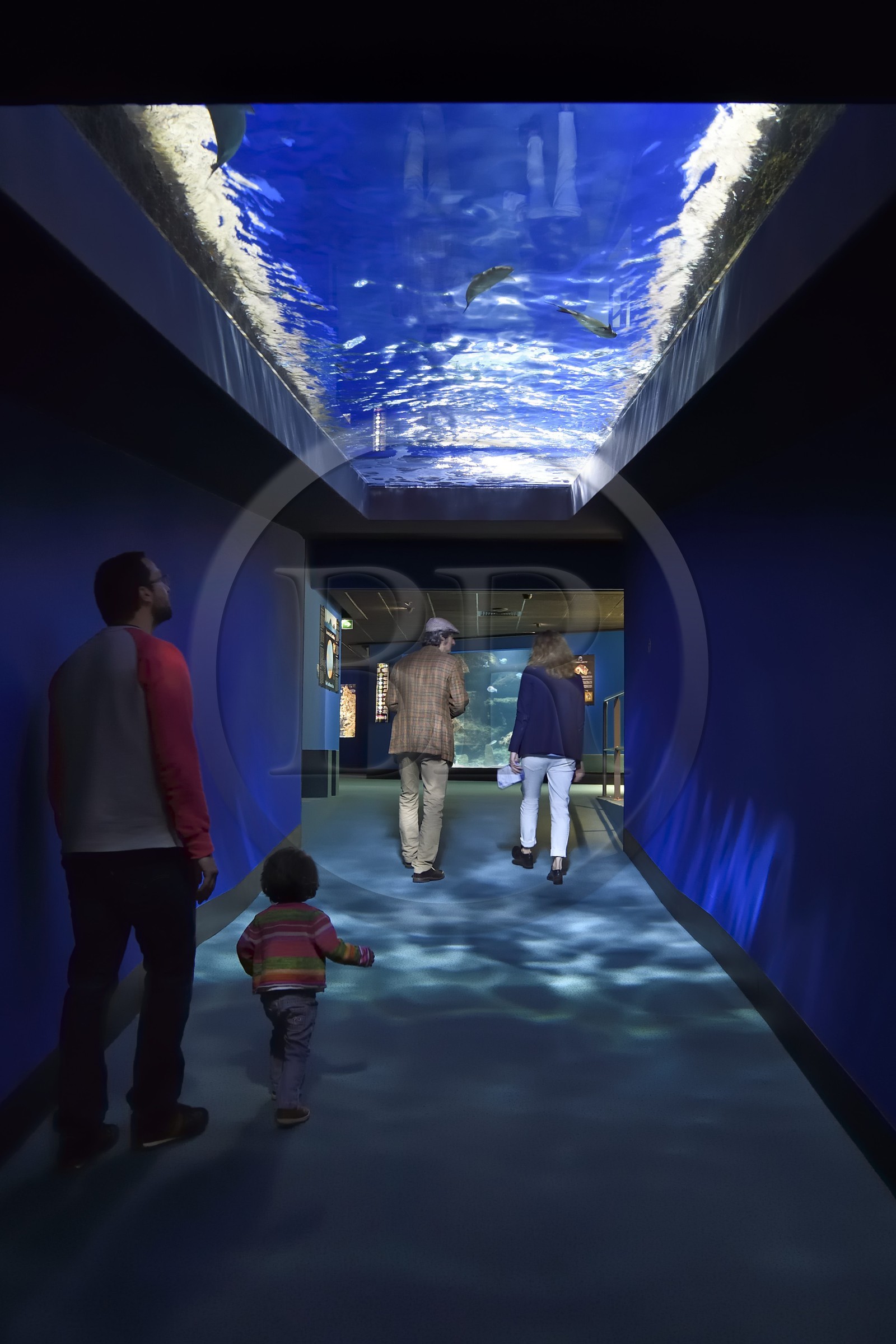 France, Charente-Maritime (17), La Rochelle, Aquarium La Rochelle, Mention obligatoire, reconstitution d'une vague