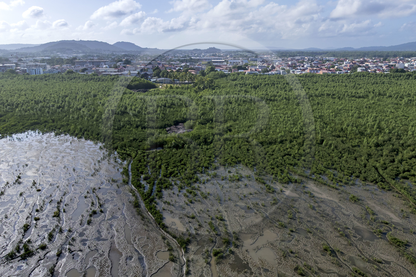 France, Guyane, Cayenne, Pointe Buzaré, la mangrove composée de palétuvier blanc (Laguncularia racemosa) entoure la totalité de la presqu'île de Cayenne, dans une période cyclique future elle disparaitra complétement pour à nouveau laisser place à la mer (vue aérienne)