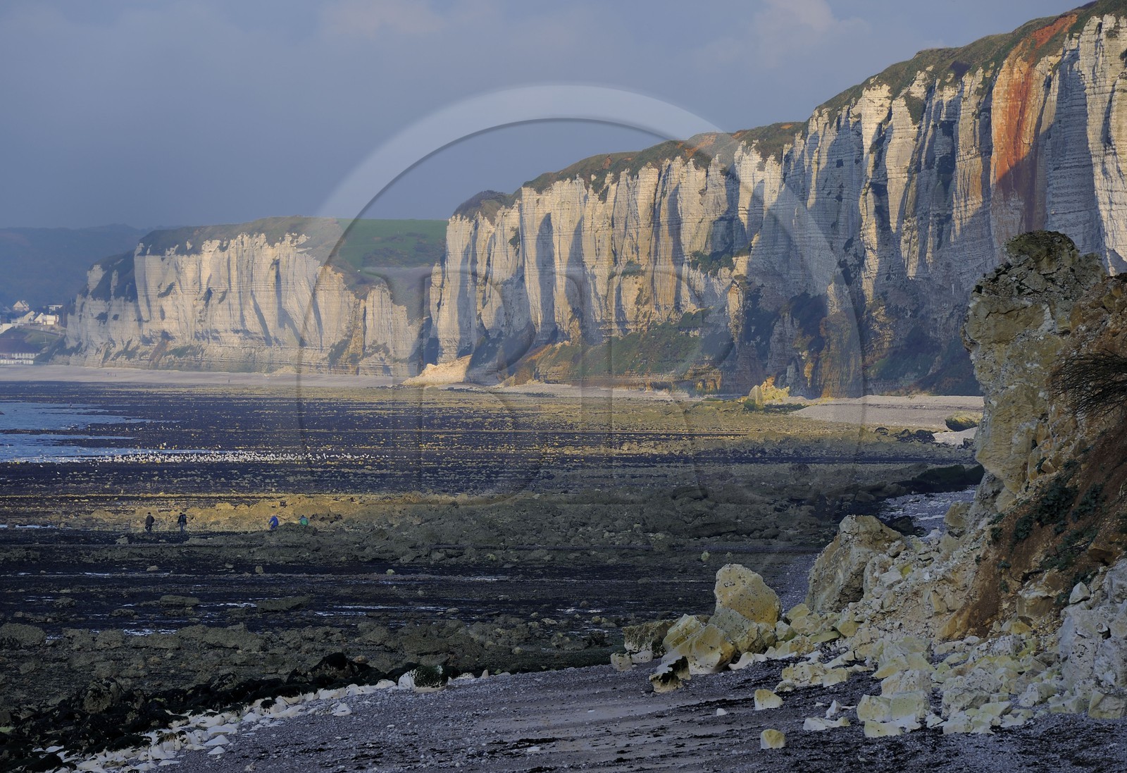 France, Seine-Maritime, Cote d'Albatre, Yport, the beach at the foot of the cliffs