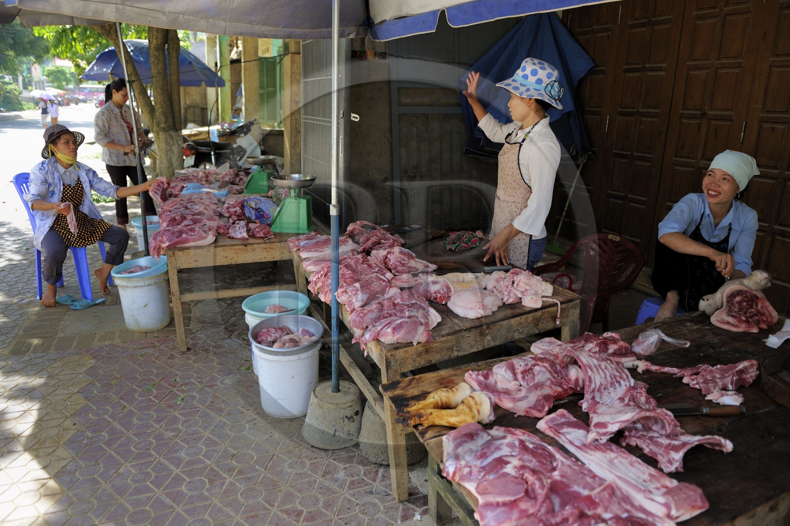 Vietnam, Lao Cai province, Bac Ha, meat stall