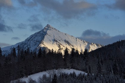France, Haute-Savoie (74), Taninges, massif du Chablais, Pic de Marcelly