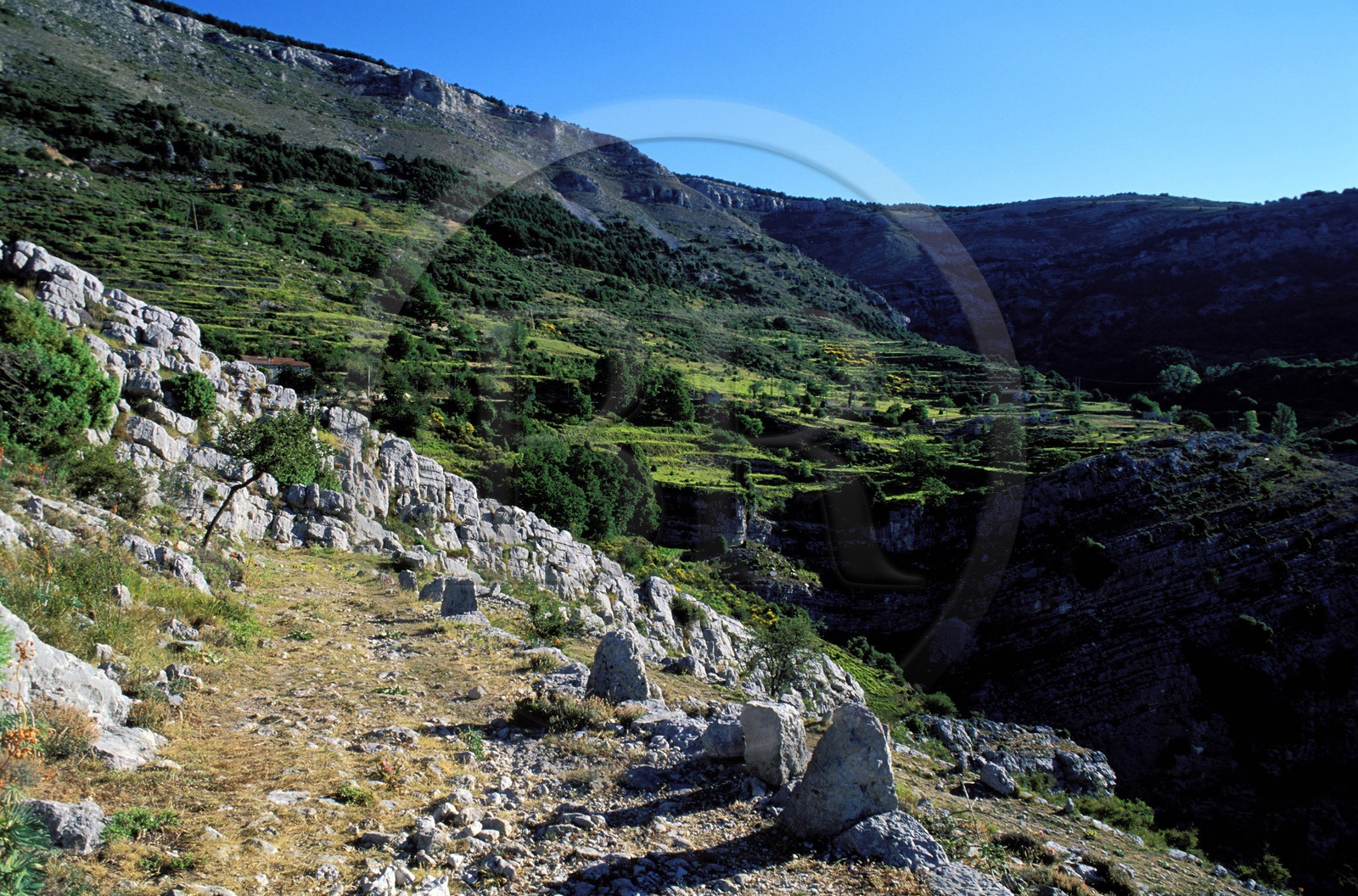 France, Alpes-Maritimes (06), l' authentique Route Napoléon surplombant les Gorges des Sources de la Siagne