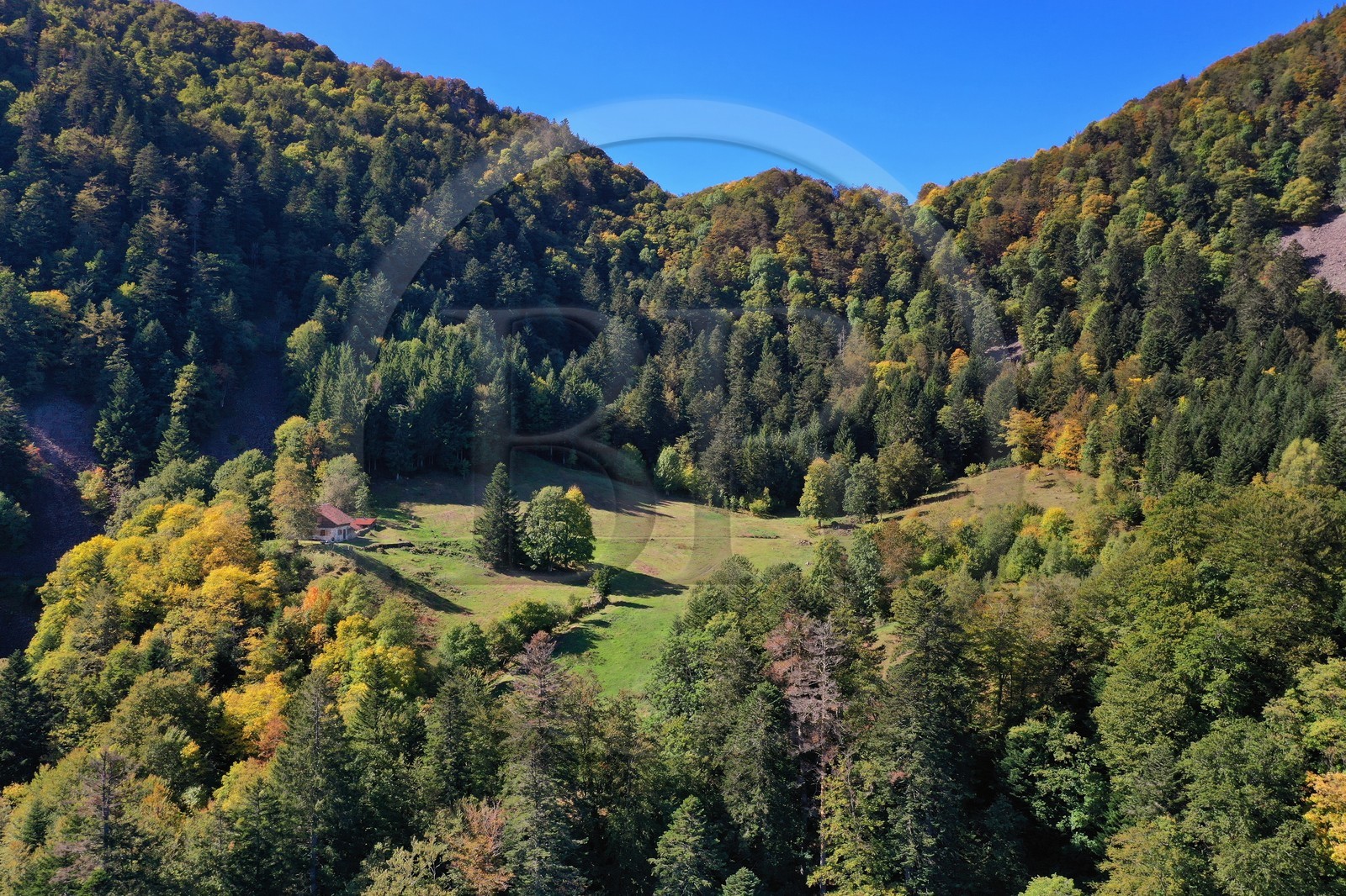 France, Haut-Rhin (68), Parc naturel r