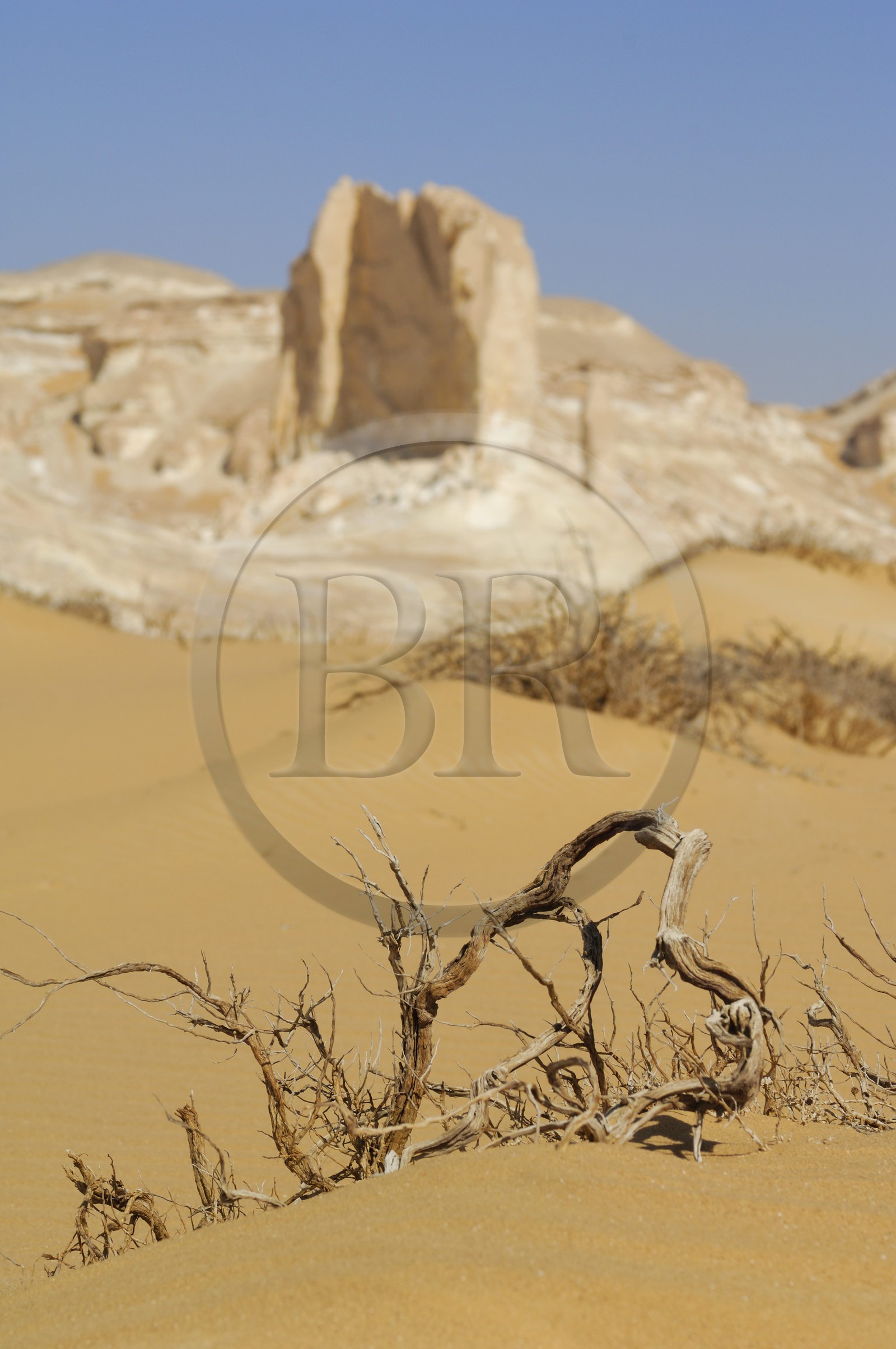 Egypt, Libyan Desert, the White Desert North of Farafra