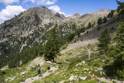 France, Alpes-Maritimes (06), parc national du Mercantour, Haute-Vésubie, Saint-Martin-Vésubie, Val du Haut Boréon, randonneurs en marche pour le refuge de Cougourde, le Mont Pelago à gauche et la Cime Guilié (2999m) à droite en arrière-plan