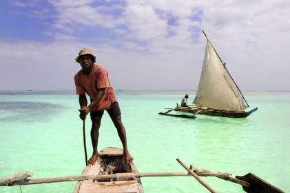 Tanzania, Zanzibar Archipelago, Unguja island (Zanzibar), southeast coast, Bwejuu, fishermen on dhows (traditional Arab sailing vessels)