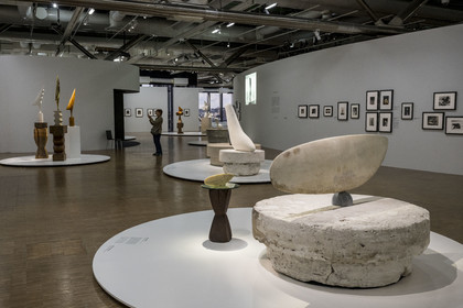 France, Paris (75), quartier des Halles, le Centre Pompidou aussi apellé Beaubourg, Musée National d'Art Moderne (MNAM), exposition retrospective Brancusi, le bestiaire poétique de Constantin Brancusi