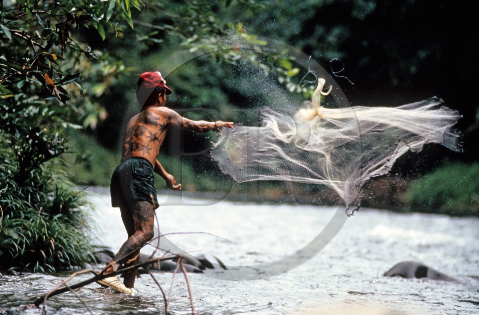 Malaisie, île de Bornéo, Sarawak, un Iban pêche au filet dans la rivière Engkari