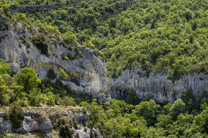 France, Vaucluse, Mont Ventoux Regional Natural Park, Monieux, Gorges de La Nesque, Hikers descending a trail towards the canyon floor