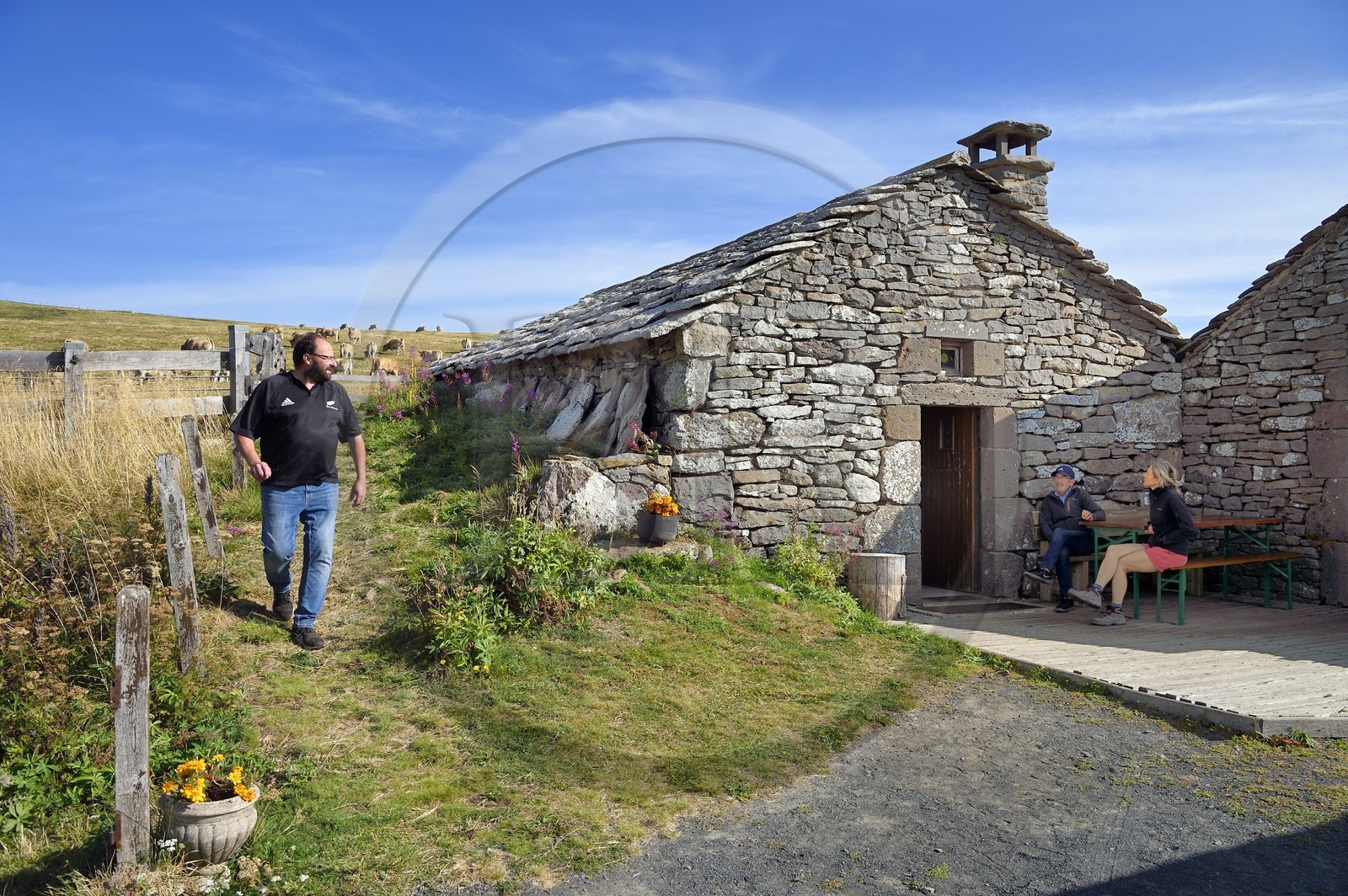 France, Cantal, Parc Naturel Régional des Volcans d'Auvergne (regional nature park of Auvergne volcanoes), Brezons valley, mountain pastures, Buron de la Combe de la Saure directed by Denis Deconquand, a mountain restaurant in Lauze stone in a former sheepfold