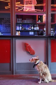 République Tchèque, Prague, l'espace alternatif Meetfactory crée l'artiste David Cerny