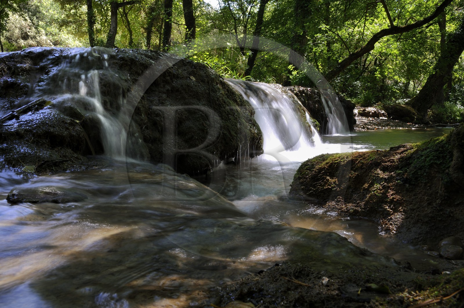 France, Var (83), Provence Verte, Tourves, rivière du Caramy dans les Gorges du Caramy