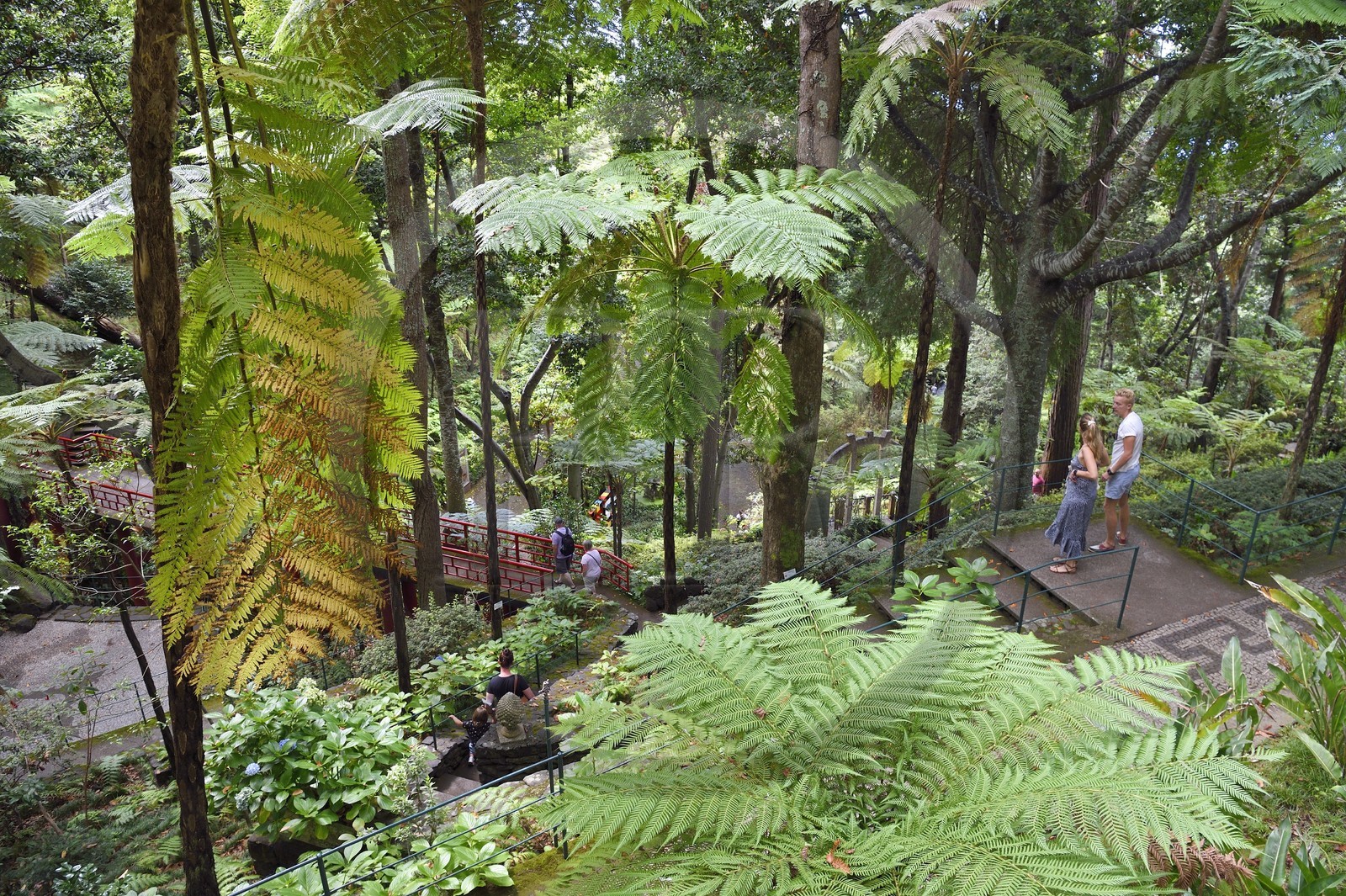Portugal, Ile de Madère, Funchal, le jardin tropical Monte Palace