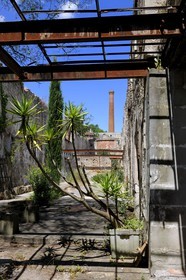 France, Herault, Villeneuvette, former Royal factory, ruins of the factory