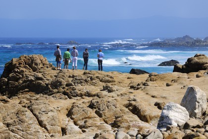 Etats-Unis, Californie, 17 mile drive, Spanish Bay