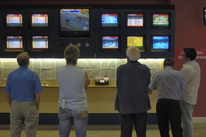 Irlande, Co. Meath, hippodrome de Fairyhouse, parieurs devant les écrans de courses de lévriers