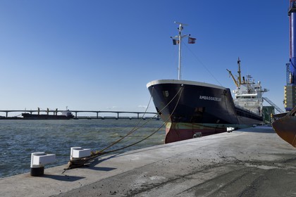 France, Charente-Maritime (17), La Rochelle, le Port Atlantique La Rochelle, port de commerce, quais dépendant de la société Sica Atlantique, le pont de l'Ile de Ré en arrière plan