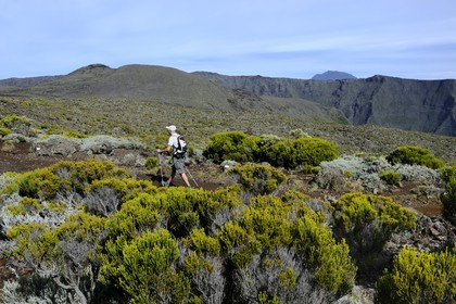 France, île de la Réunion, volcan du Piton de la Fournaise, classé Patrimoine Mondial de l'UNESCO, randonneurs sur les sentiers du haut de l'Enclos
