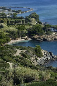 France, Var (83), Ile des Embiez vue depuis la Pointe du Coucoussa, la plage du Coucoussa